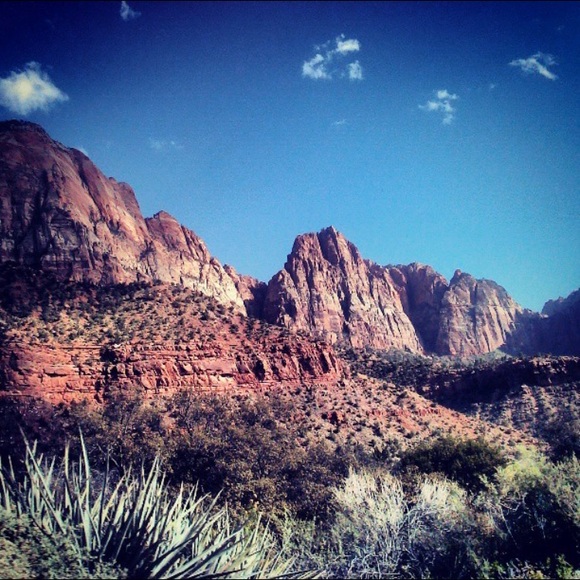 ☘️ Welcome to my closet ☘️ - Picture 2 of 7